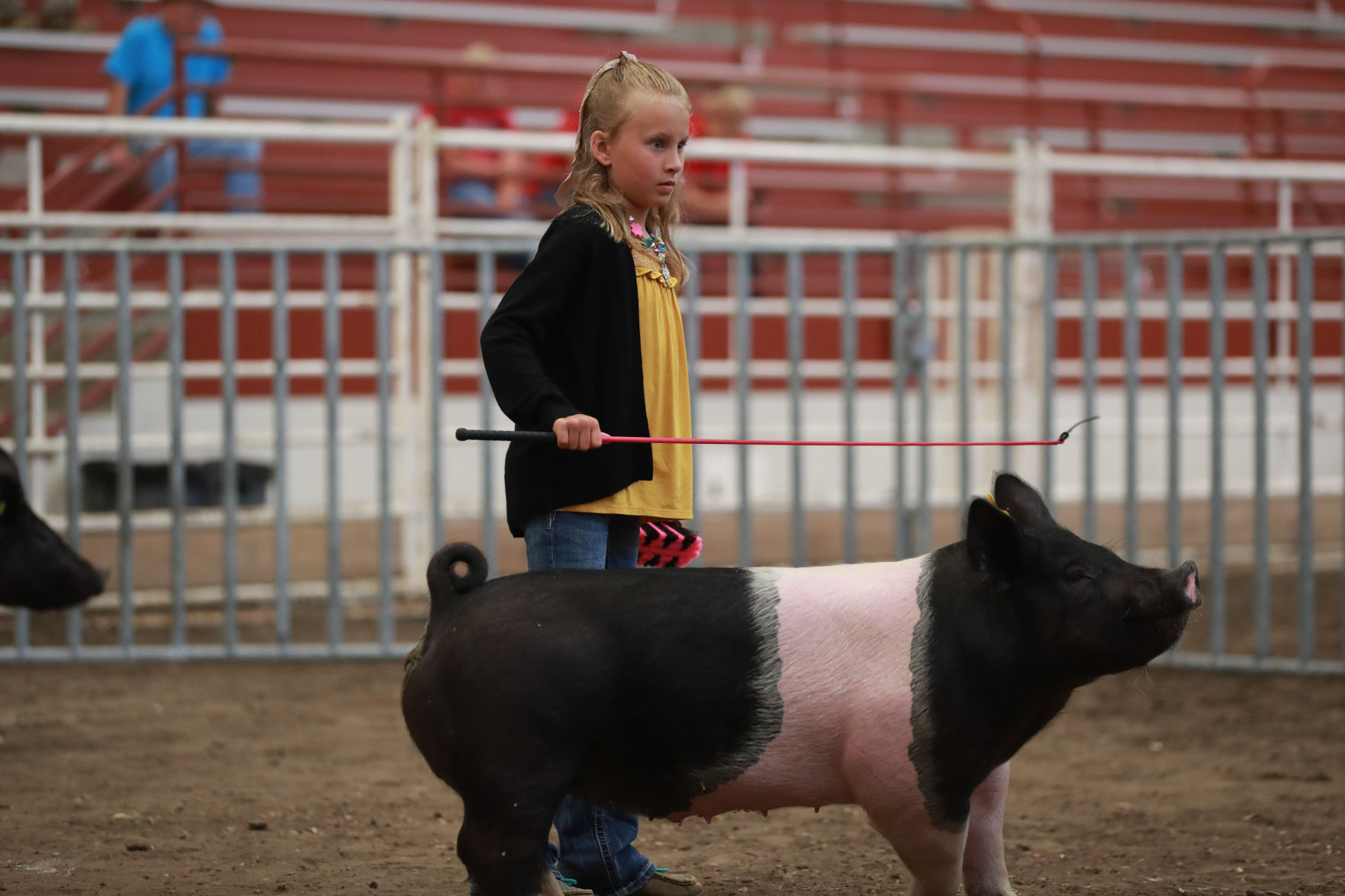 071119_HallCoFair08_bjs.JPG